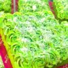 pandan gula melaka