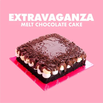 EXTRAVAGANZA MELT CHOCOLATE CAKE